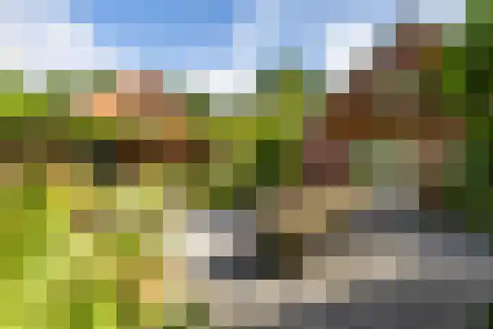 Schapenweg 16 Nietap thumbnail 50
