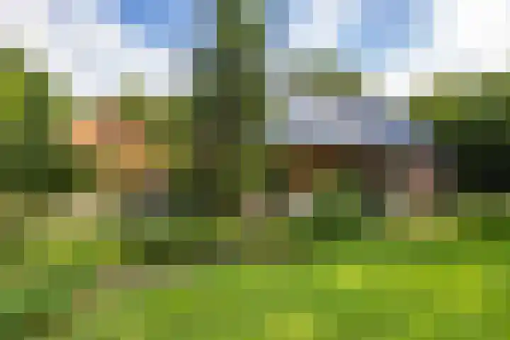 Schapenweg 16 Nietap thumbnail 51