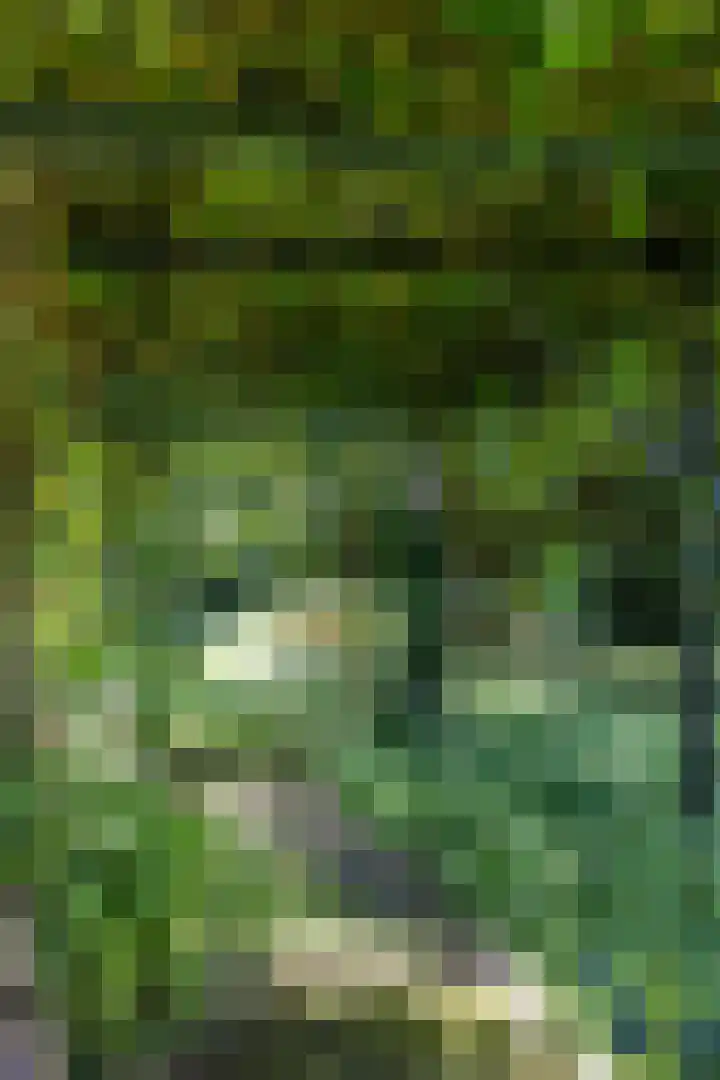 Schapenweg 16 Nietap thumbnail 53