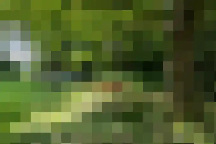 Schapenweg 16 Nietap thumbnail 54
