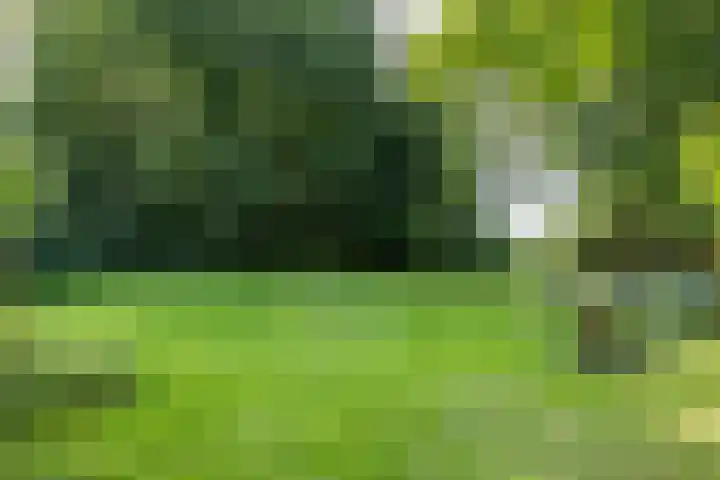 Schapenweg 16 Nietap thumbnail 55