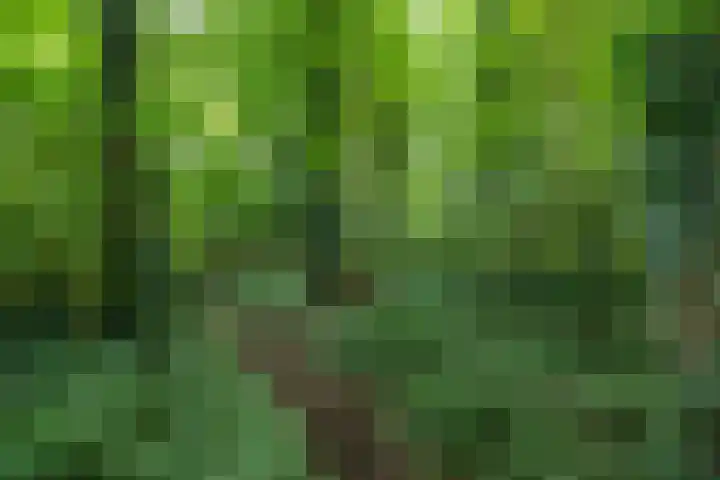 Schapenweg 16 Nietap thumbnail 56
