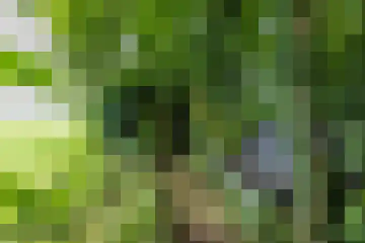 Schapenweg 16 Nietap thumbnail 57