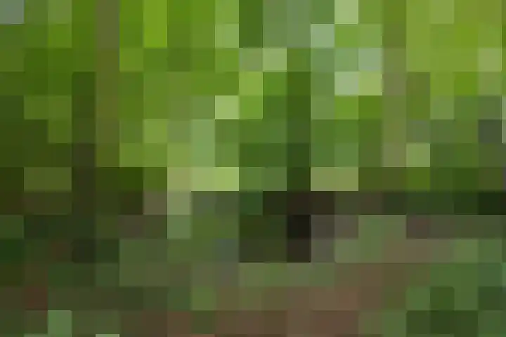 Schapenweg 16 Nietap thumbnail 58