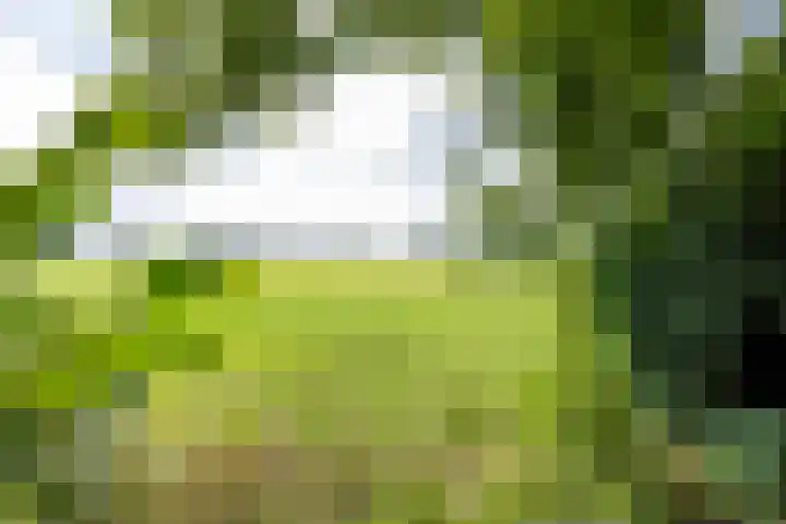 Schapenweg 16 Nietap thumbnail 59