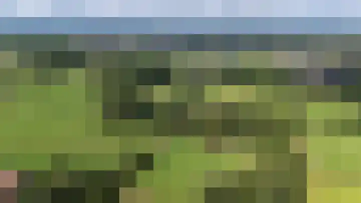 Schapenweg 16 Nietap thumbnail 6