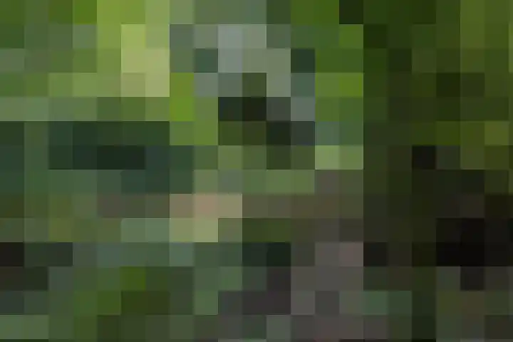 Schapenweg 16 Nietap thumbnail 60