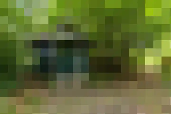 Schapenweg 16 Nietap thumbnail 63