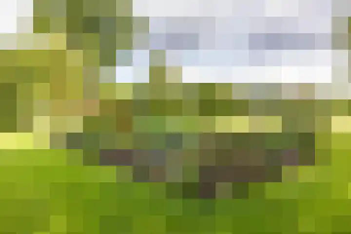 Schapenweg 16 Nietap thumbnail 65