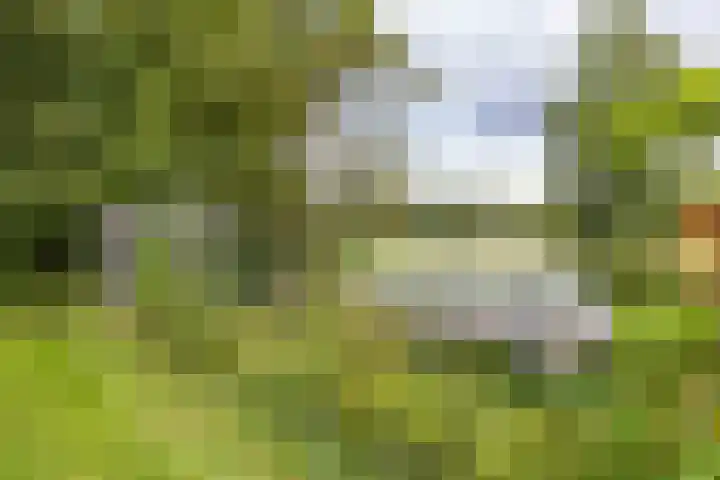 Schapenweg 16 Nietap thumbnail 67