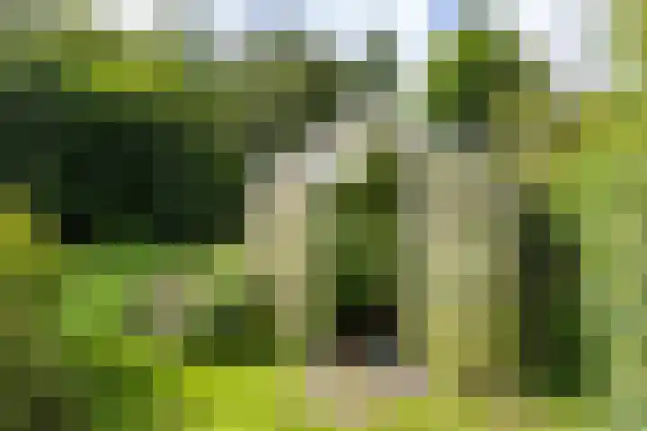 Schapenweg 16 Nietap thumbnail 68