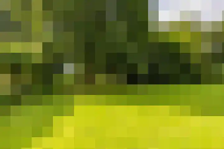 Schapenweg 16 Nietap thumbnail 69