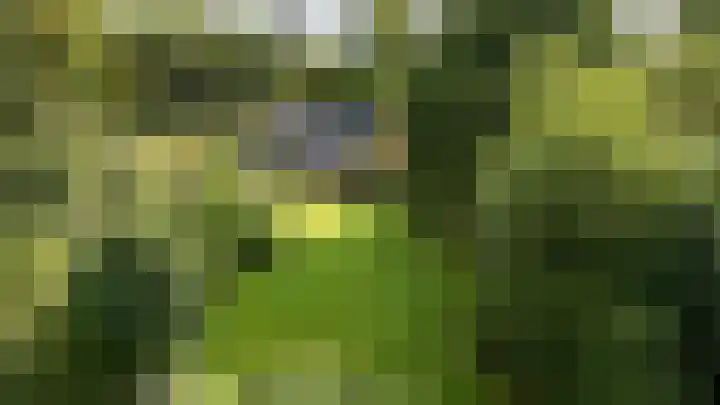 Schapenweg 16 Nietap thumbnail 7