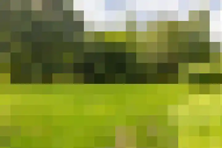 Schapenweg 16 Nietap thumbnail 70