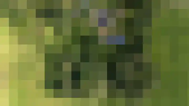 Schapenweg 16 Nietap thumbnail 71