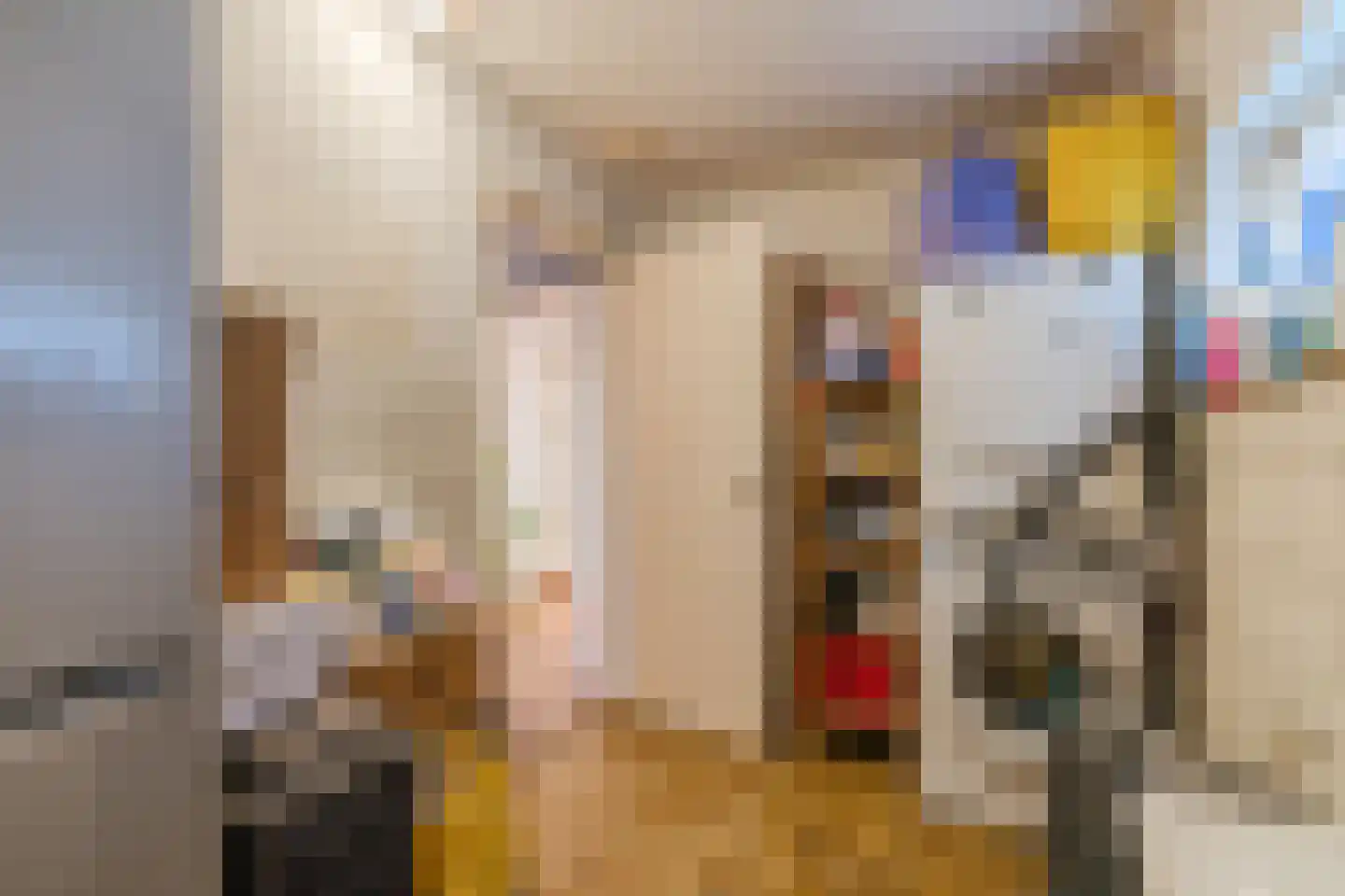 Schapenweg 5 Westerhaar-Vriezenveensewijk thumbnail 20