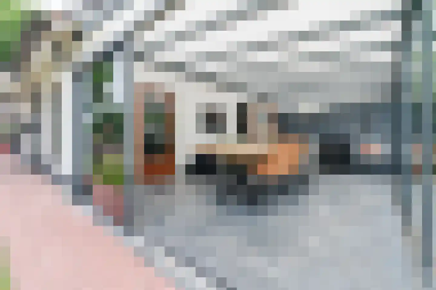 Schapenweg 5 Westerhaar-Vriezenveensewijk thumbnail 37