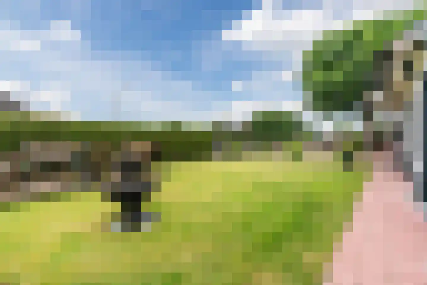 Schapenweg 5 Westerhaar-Vriezenveensewijk thumbnail 4