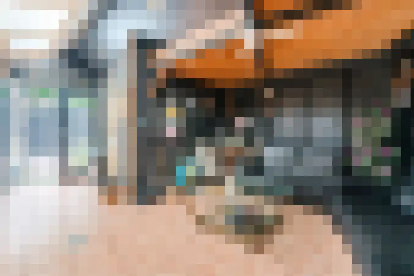 Schapenweg 5 Westerhaar-Vriezenveensewijk thumbnail 40