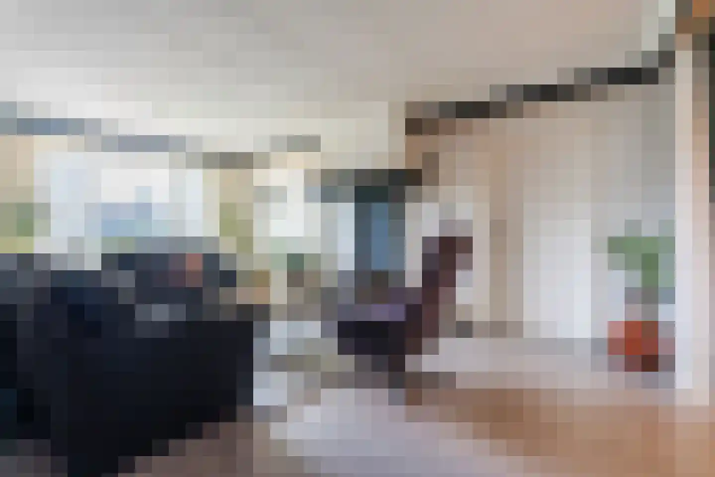 Schapenweg 5 Westerhaar-Vriezenveensewijk thumbnail 7