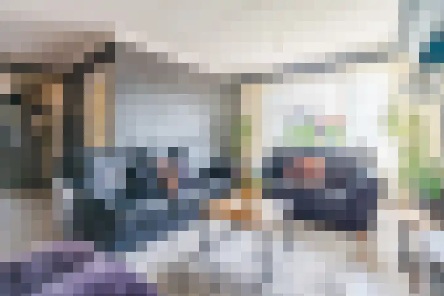 Schapenweg 5 Westerhaar-Vriezenveensewijk thumbnail 8