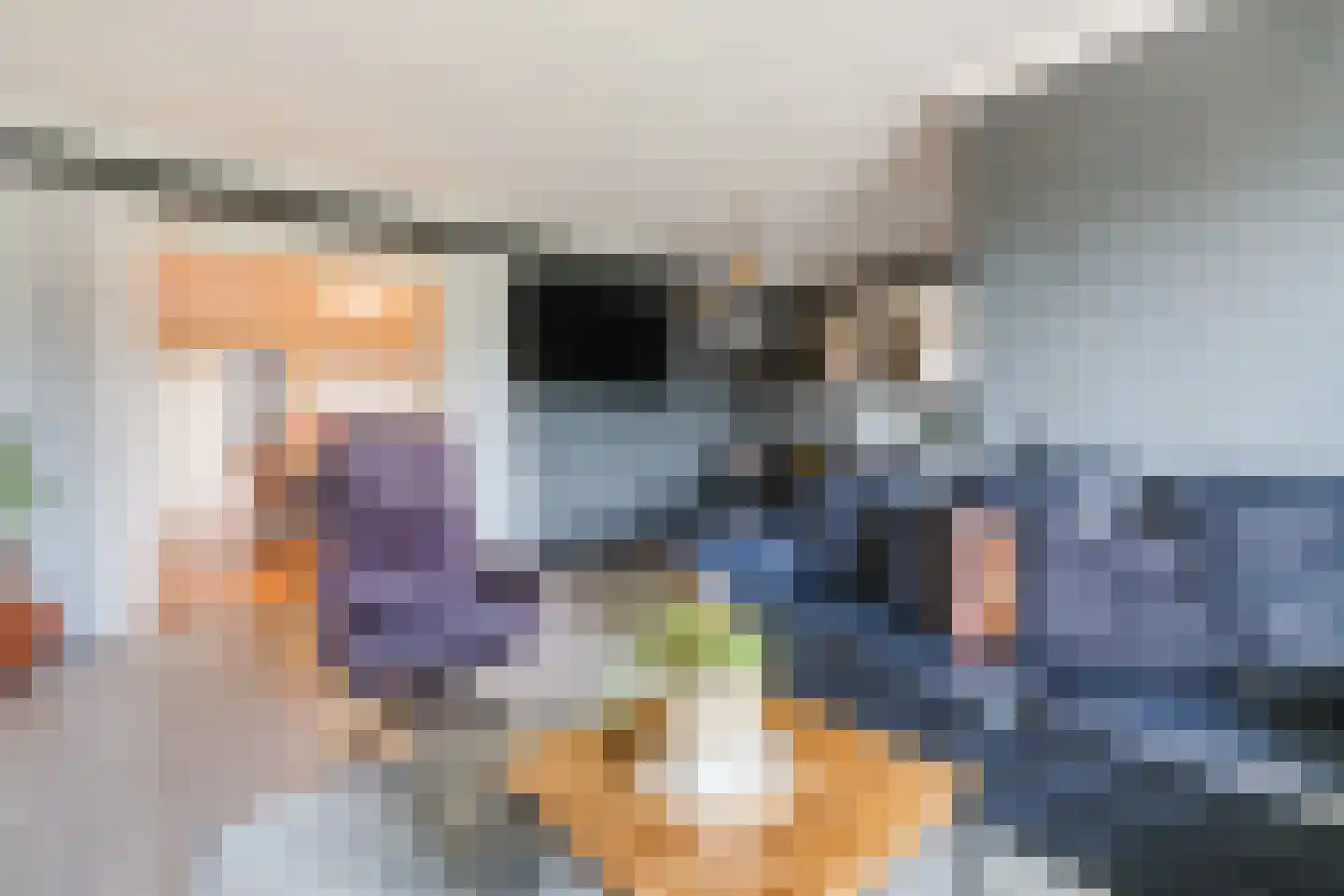Schapenweg 5 Westerhaar-Vriezenveensewijk thumbnail 9
