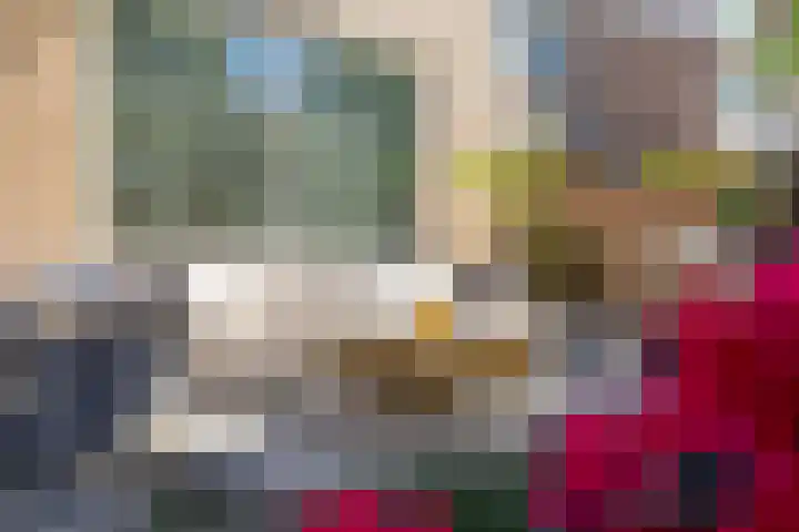 Schapenweide 1 Leiderdorp thumbnail 12