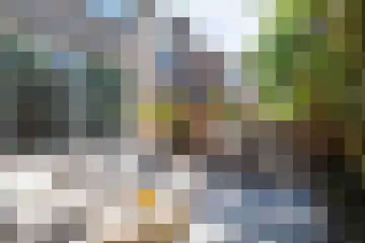 Schapenweide 1 Leiderdorp thumbnail 13