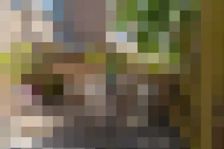 Schapenweide 1 Leiderdorp thumbnail 14