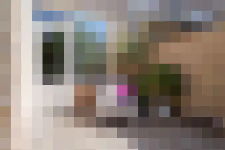 Schapenweide 1 Leiderdorp thumbnail 15