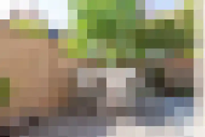 Schapenweide 1 Leiderdorp thumbnail 16