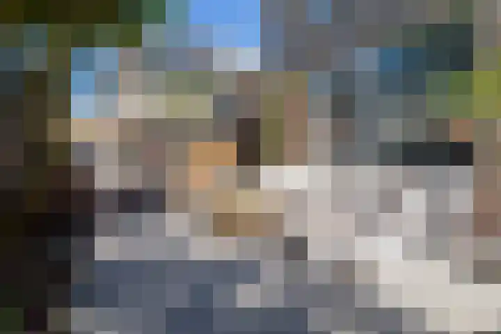 Schapenweide 1 Leiderdorp thumbnail 17