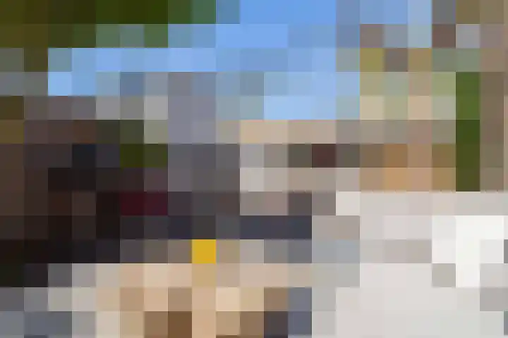 Schapenweide 1 Leiderdorp thumbnail 18