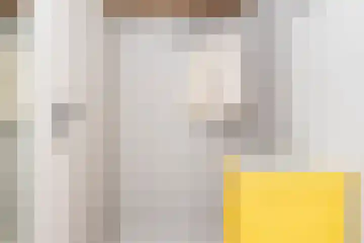 Schapenweide 1 Leiderdorp thumbnail 22