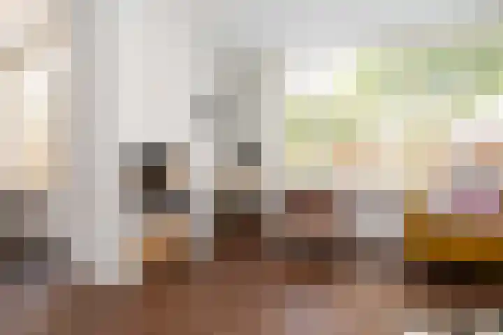 Schapenweide 1 Leiderdorp thumbnail 25