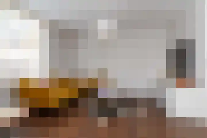 Schapenweide 1 Leiderdorp thumbnail 27