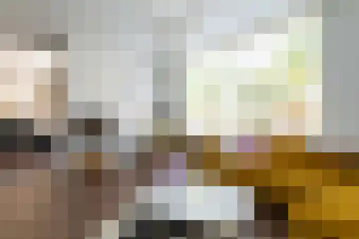 Schapenweide 1 Leiderdorp thumbnail 29