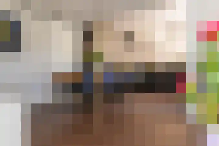 Schapenweide 1 Leiderdorp thumbnail 31