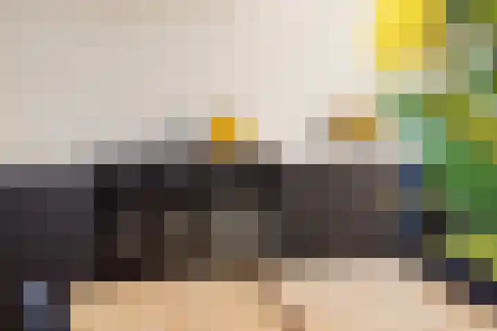 Schapenweide 1 Leiderdorp thumbnail 37