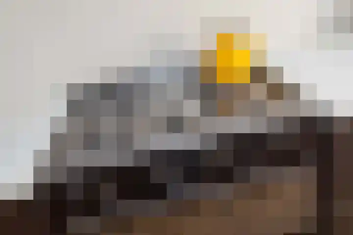 Schapenweide 1 Leiderdorp thumbnail 38