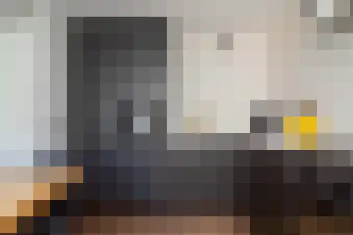 Schapenweide 1 Leiderdorp thumbnail 39
