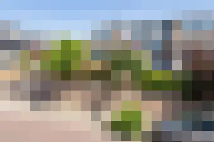 Schapenweide 1 Leiderdorp thumbnail 4