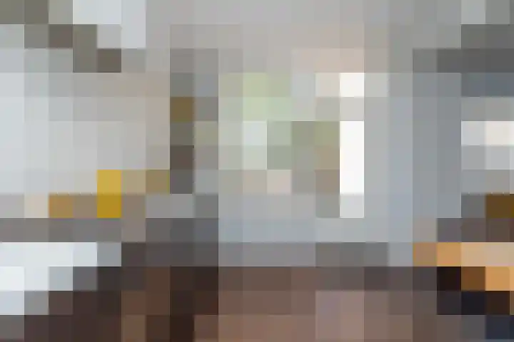 Schapenweide 1 Leiderdorp thumbnail 41
