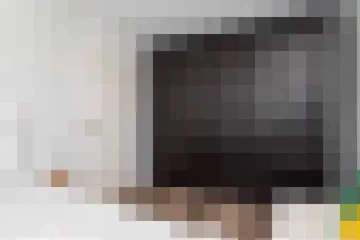 Schapenweide 1 Leiderdorp thumbnail 43