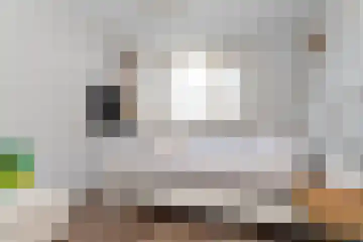 Schapenweide 1 Leiderdorp thumbnail 44