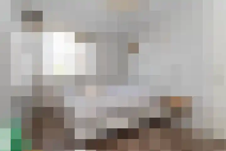 Schapenweide 1 Leiderdorp thumbnail 45