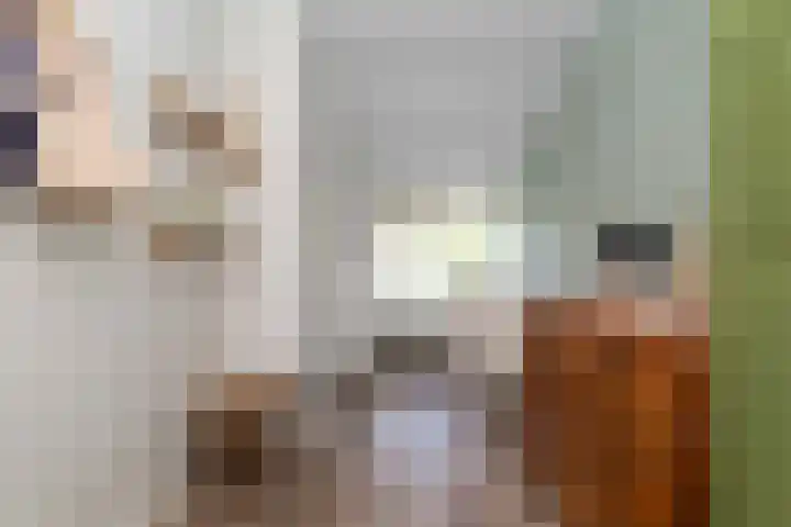 Schapenweide 1 Leiderdorp thumbnail 46