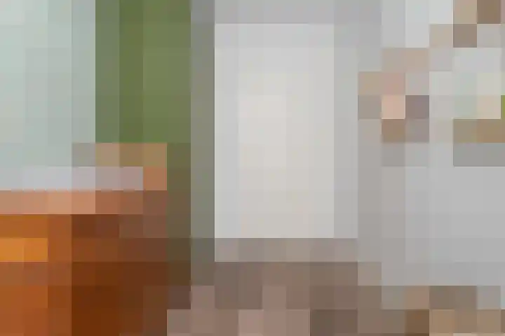 Schapenweide 1 Leiderdorp thumbnail 47