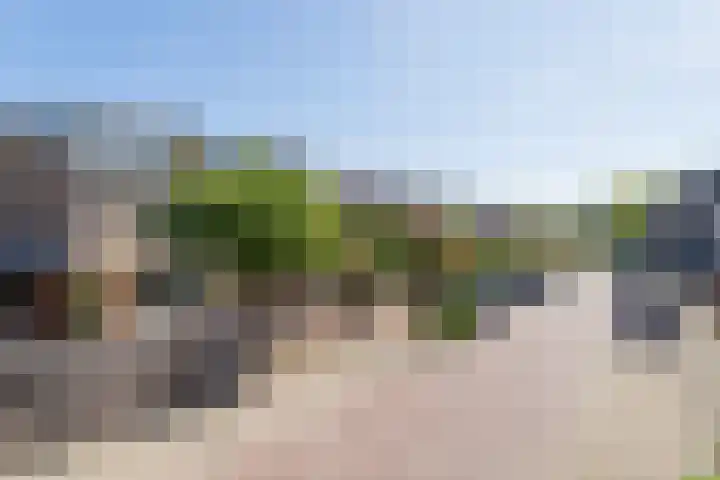 Schapenweide 1 Leiderdorp thumbnail 5
