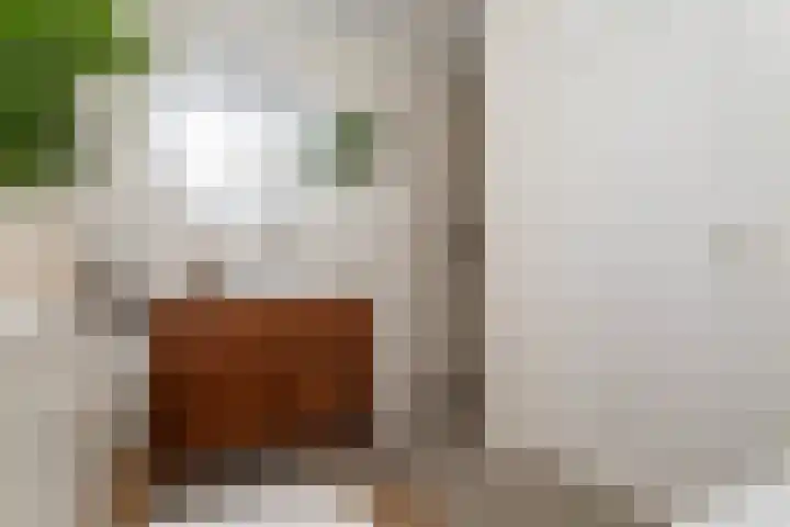 Schapenweide 1 Leiderdorp thumbnail 53
